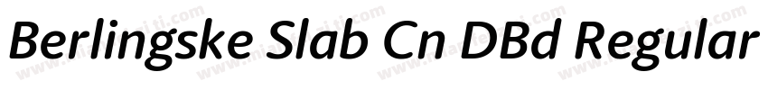 Berlingske Slab Cn DBd Regular字体转换